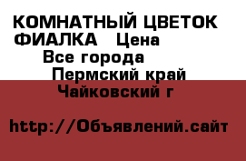 КОМНАТНЫЙ ЦВЕТОК -ФИАЛКА › Цена ­ 1 500 - Все города  »    . Пермский край,Чайковский г.